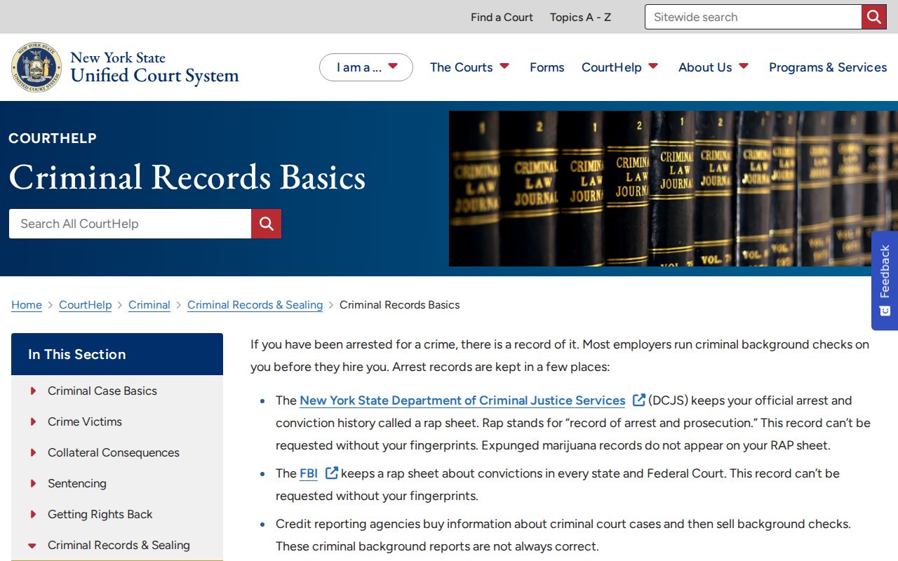 New York criminal records basics for Greene County court cases